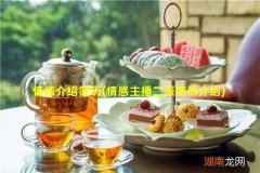 情感主播二辰简历介绍 情感介绍简历