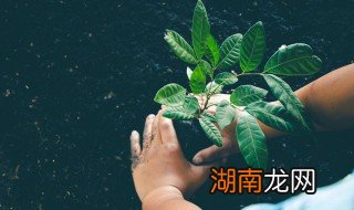 如何净化室内空气 怎么净化室内空气