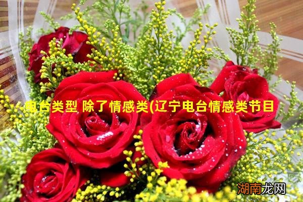 辽宁电台情感类节目 电台类型 除了情感类