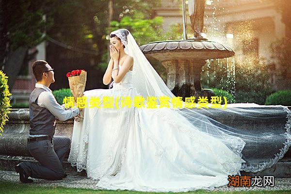 诗歌鉴赏情感类型 情感类型
