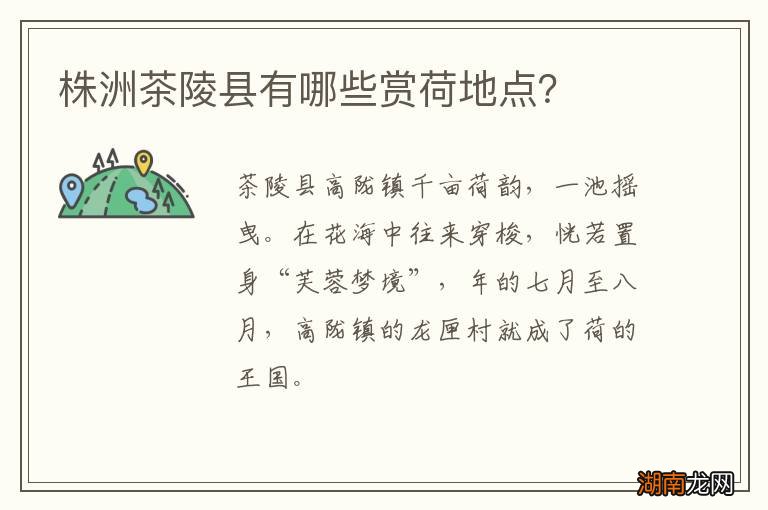 株洲茶陵县有哪些赏荷地点？