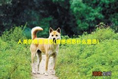 情感困惑什么意思 人类的情感困惑