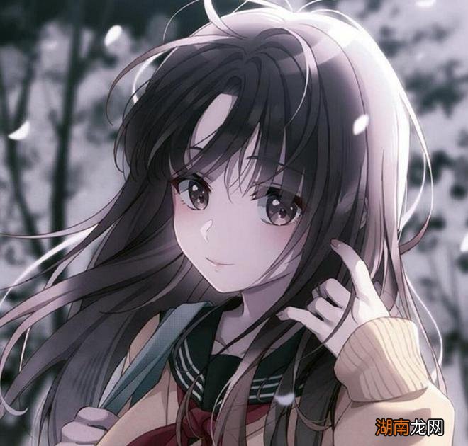 情感咨询自我介绍人类的情感