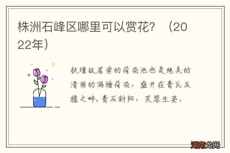 2022年 株洲石峰区哪里可以赏花?