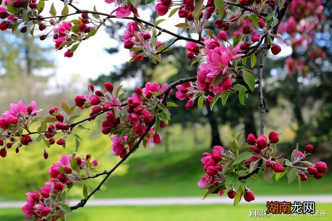 情感类的词汇双相情感障碍的症状