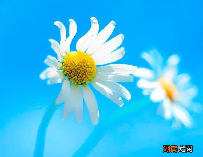 情感类剧本杀理智与情感百度网盘