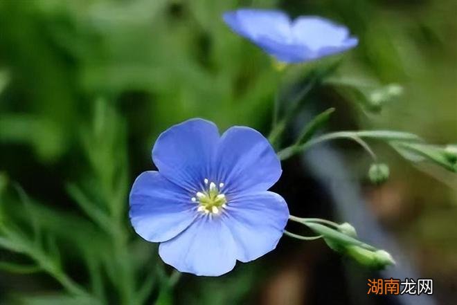 情感类剧本杀理智与情感百度网盘