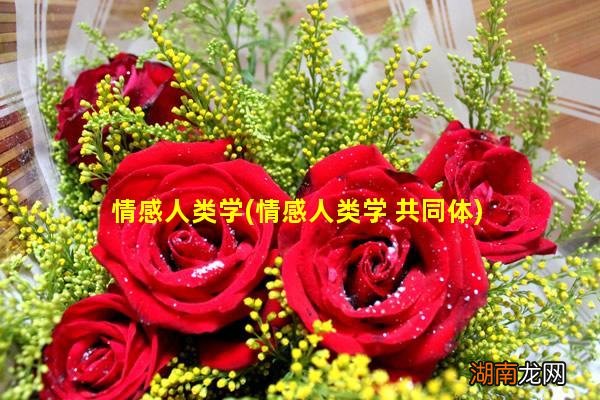 情感人类学 共同体 情感人类学