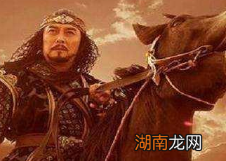 西夏并不弱小，为何会被蒙古灭了呢？