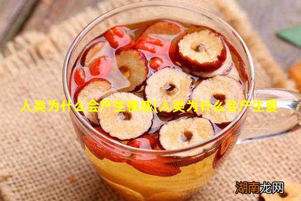 人类为什么会产生爱情这种情感 人类为什么会产生情感