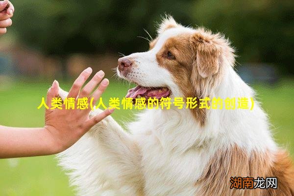 人类情感的符号形式的创造 人类情感
