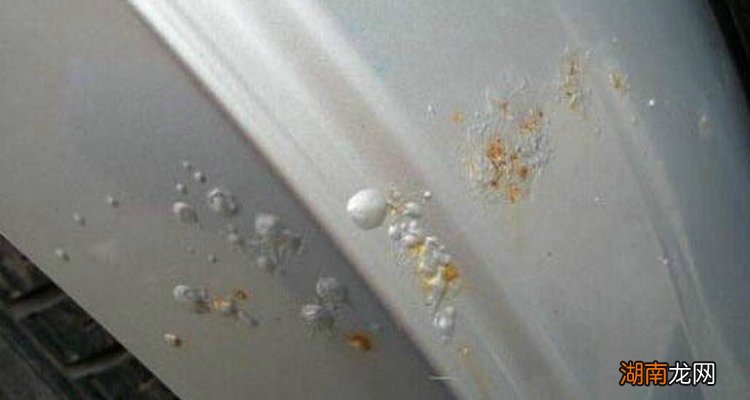 汽车喷漆一年了鼓了许多气泡怎么办