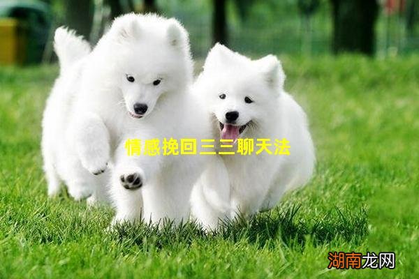 情感挽回三三聊天法