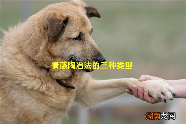 情感陶冶法的三种类型