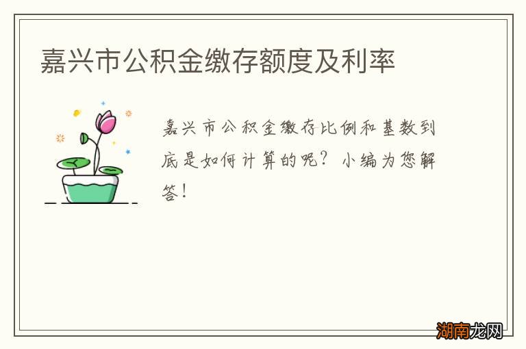 嘉兴市公积金缴存额度及利率