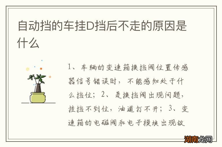自动挡的车挂D挡后不走的原因是什么