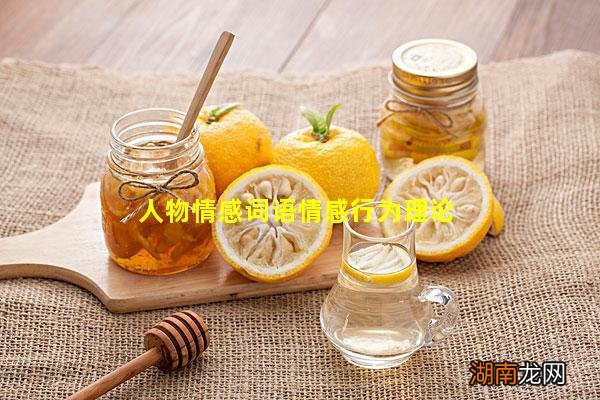 人物情感词语情感行为理论