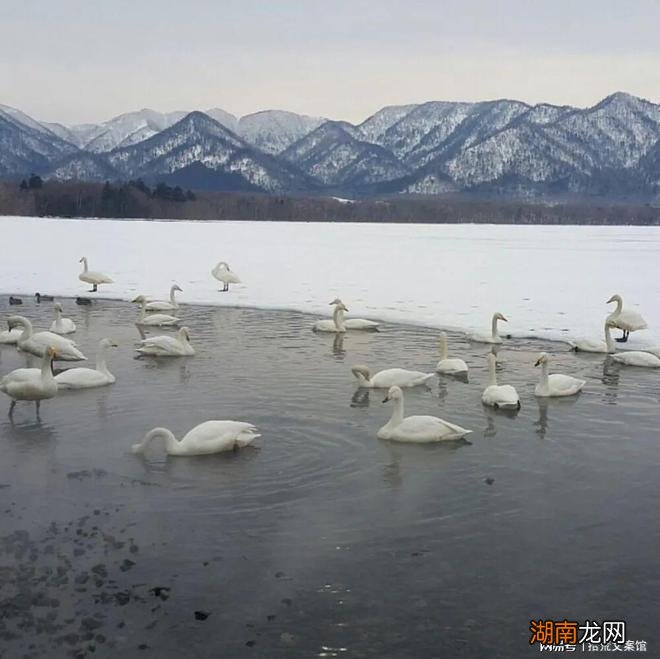 情感话情感动词有哪些