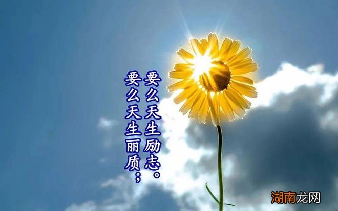 几种情感情感小故事