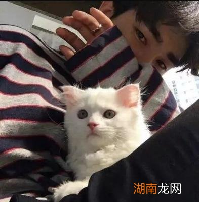 情感大全情感过程