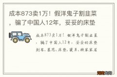 成本873卖1万！假洋鬼子割韭菜，骗了中国人12年，妥妥的床垫刺客