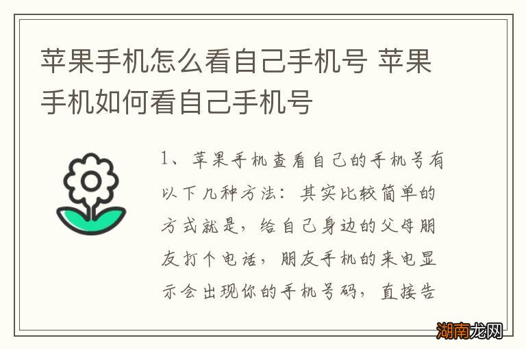 苹果手机怎么看自己手机号 苹果手机如何看自己手机号