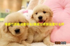 情感过滤假说是什么时候 情感过滤假说是什么