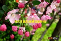 情感话题素材 情感话题库