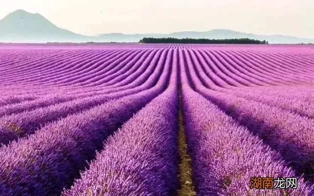 女人越绝情越好挽回情感淡漠型人格