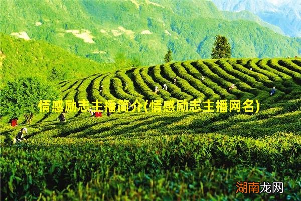 情感励志主播网名 情感励志主播简介