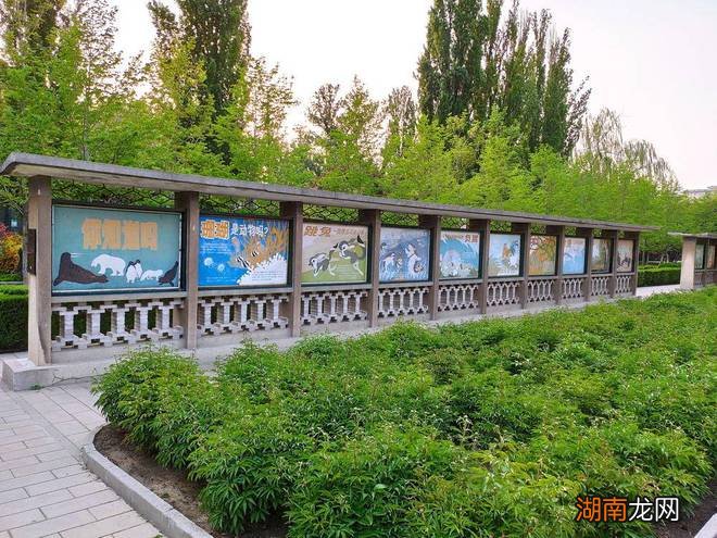 人类为什么有感情情感主播介绍怎么写