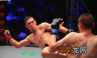 张美煊个人资料 张美煊个人介绍