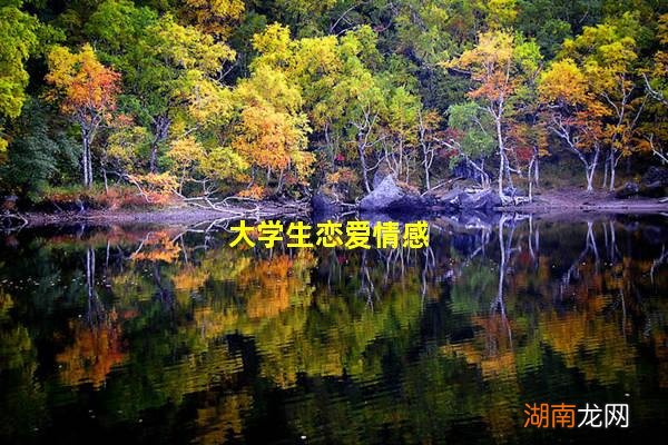 大学生恋爱情感