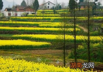 陕西被称为&amp;ldquo;三秦大地&amp;rdquo;，为什么是三秦呢？