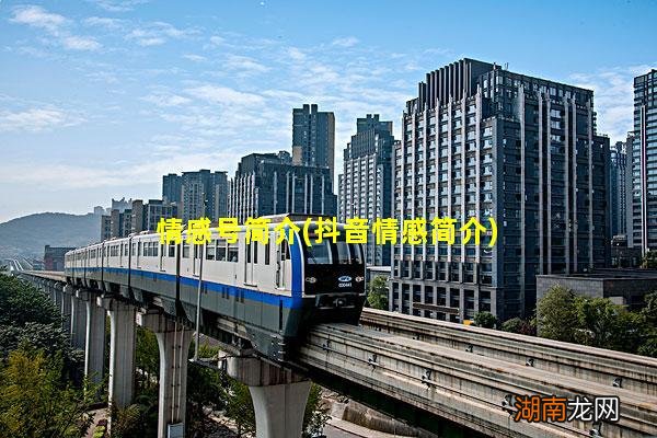 抖音情感简介 情感号简介