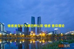 情感类型分为哪四种认知 情感 意动理论