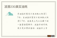 凌渡230真实油耗