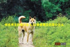 美食博主的简介怎么写 情感博主的简介怎么写