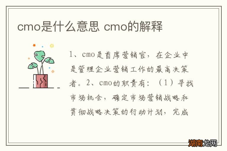 cmo是什么意思 cmo的解释