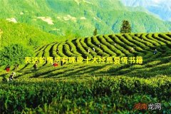 表达的情感有哪些十大经典爱情书籍