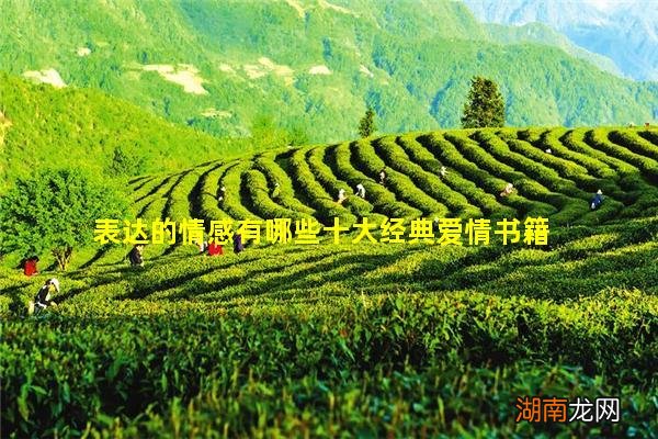 表达的情感有哪些十大经典爱情书籍