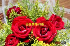 正面情感词语