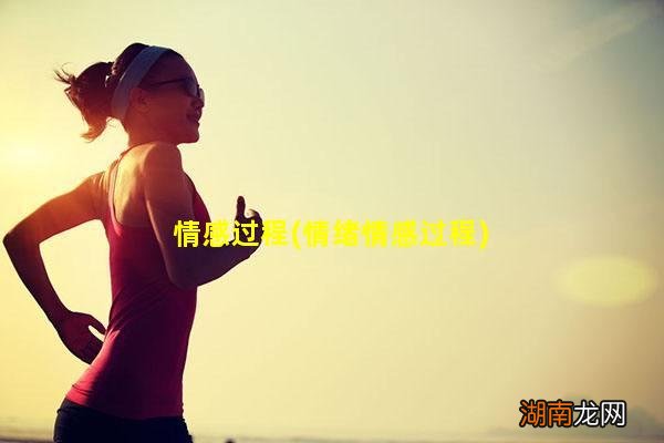情绪情感过程 情感过程