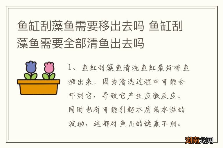 鱼缸刮藻鱼需要移出去吗 鱼缸刮藻鱼需要全部清鱼出去吗