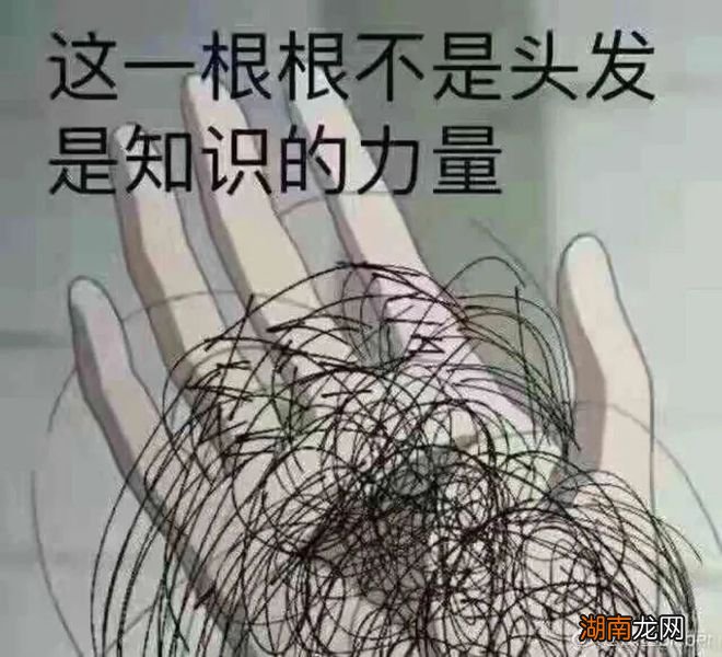 情感聊天软件有哪些人都有哪些情感