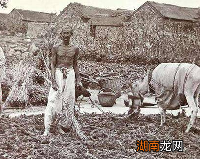 清朝一两银子能买到什么东西 换做现在是多少钱