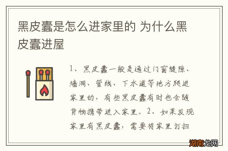黑皮蠹是怎么进家里的 为什么黑皮蠹进屋