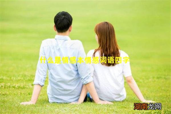 什么是情感本情感词语四字