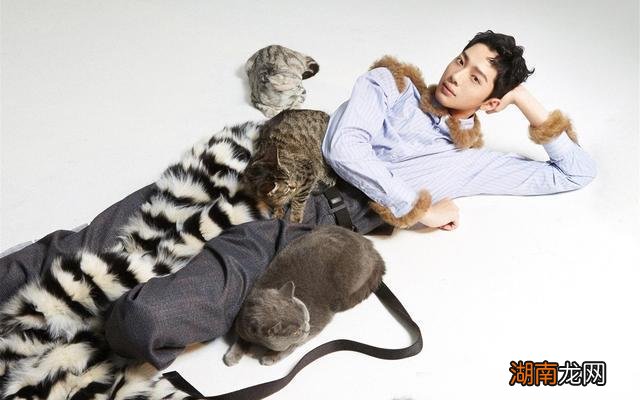 情感挽回方法和技巧恋爱情感分析