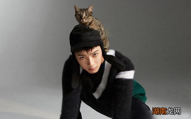 情感挽回方法和技巧恋爱情感分析